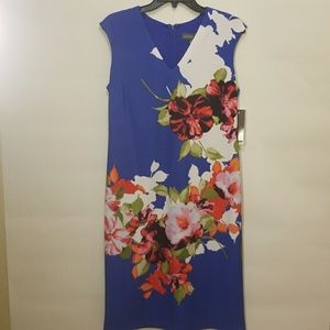 NWT Donna Ricco Floral Royal/White Dress Size 10